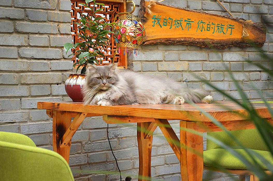 Luoyang Longmen Youth Hostel Dış mekan fotoğraf