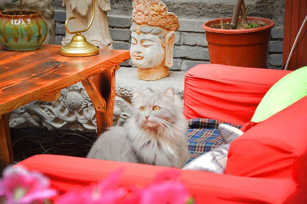 Luoyang Longmen Youth Hostel Dış mekan fotoğraf